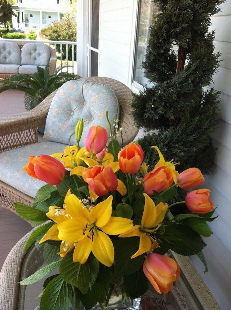 Bay Haven Inn Of Cape Charles Exterior foto